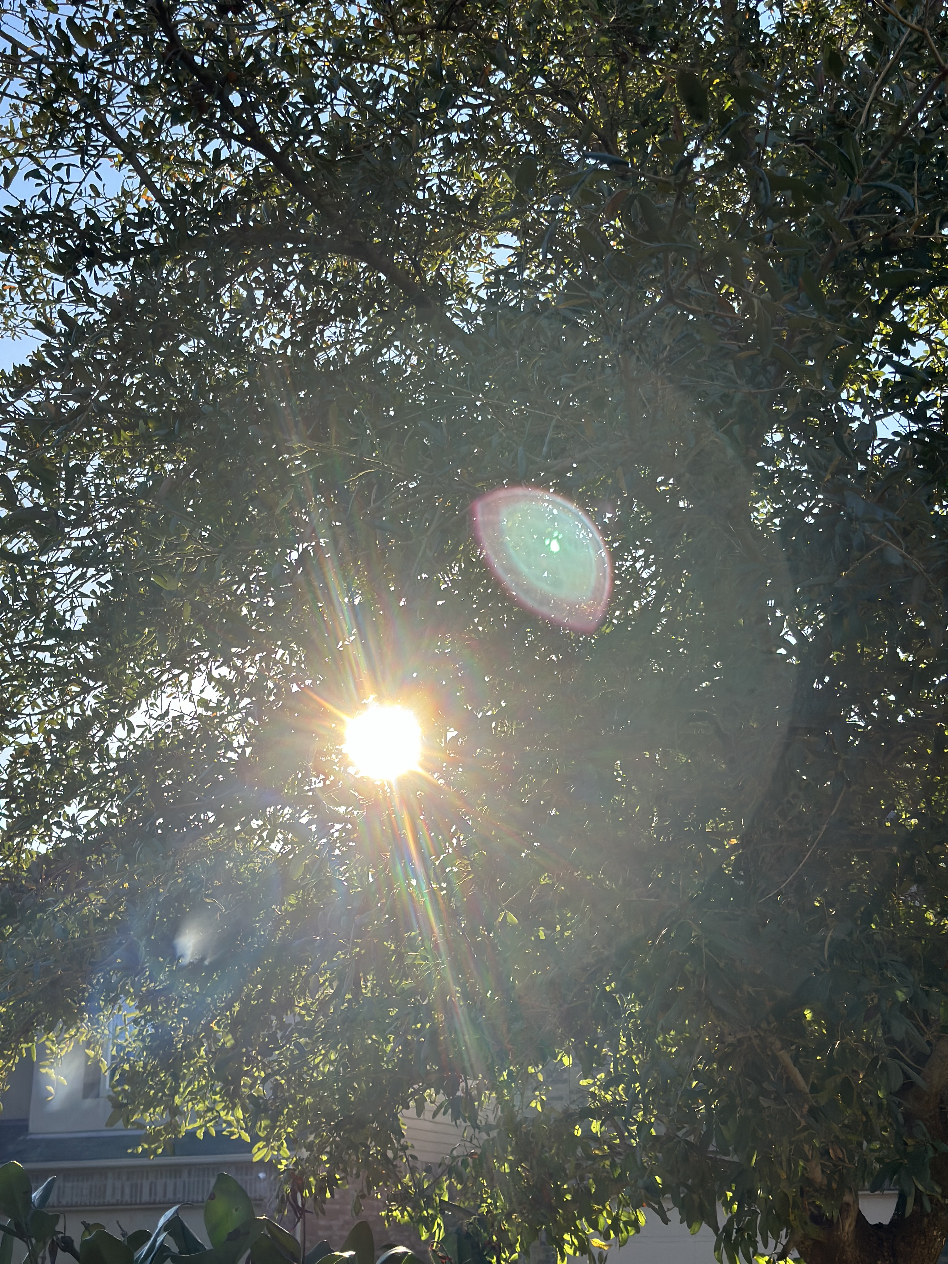 thelittlethingsinlife